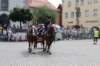 landestreffen_2015_024_small.jpg