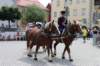 landestreffen_2015_025_small.jpg